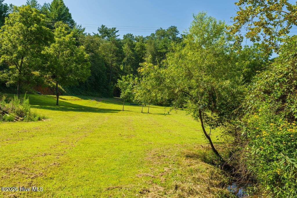 45 Green Cove Road - Photo 1