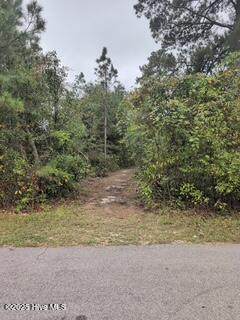 131 Powhatan Trail - Photo 1