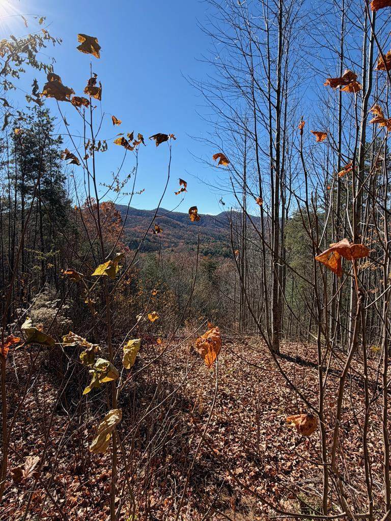 Lot 14 View Ridge Trail - Photo 1