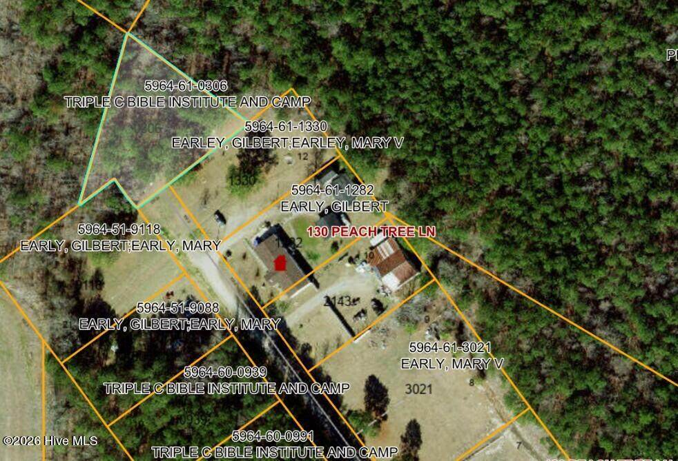 0 Peach Tree Lane - Photo 1