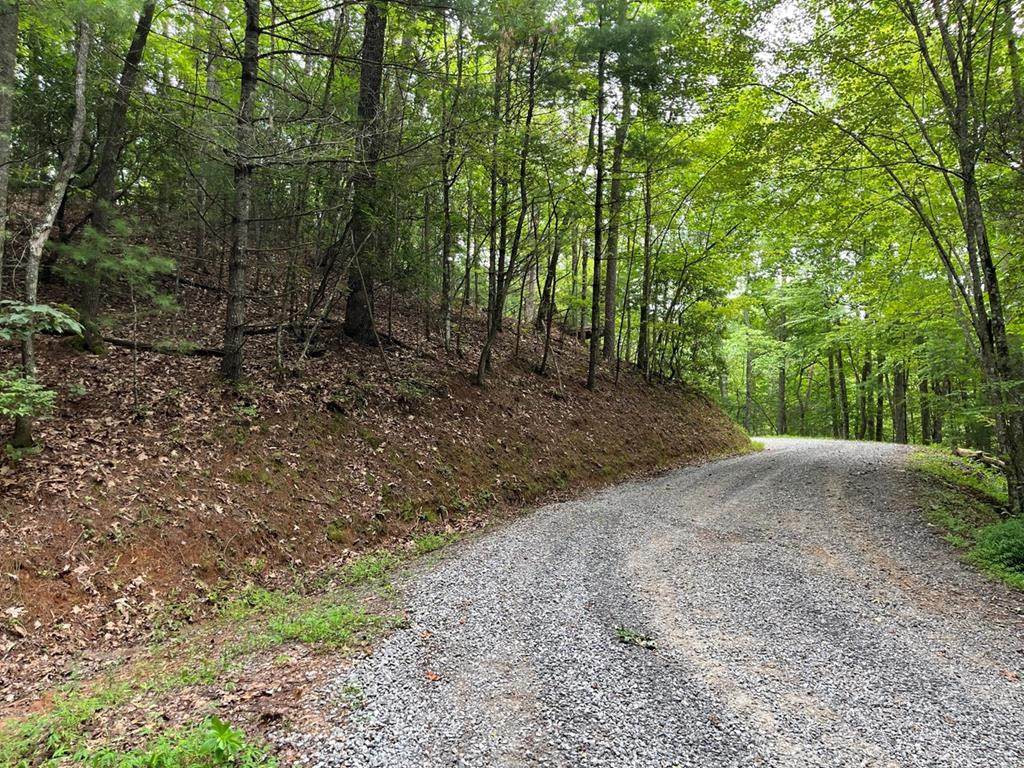 TBD Atoah Loop - Photo 1