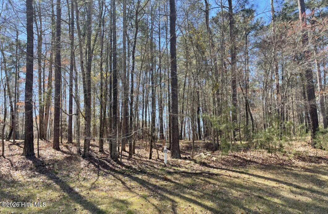 K-6 Shooting Match Lane - Photo 1