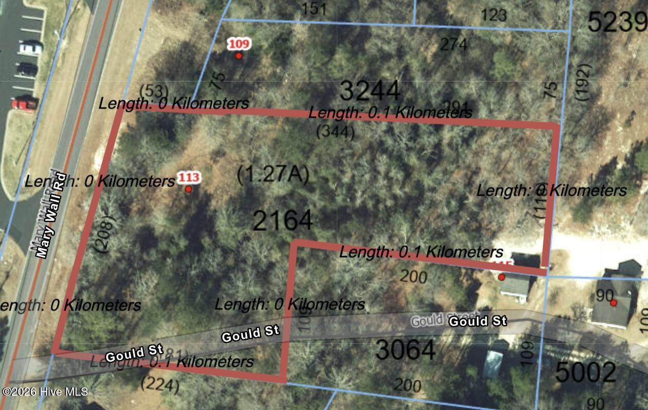 Tbd Mary Wall Road - Photo 1