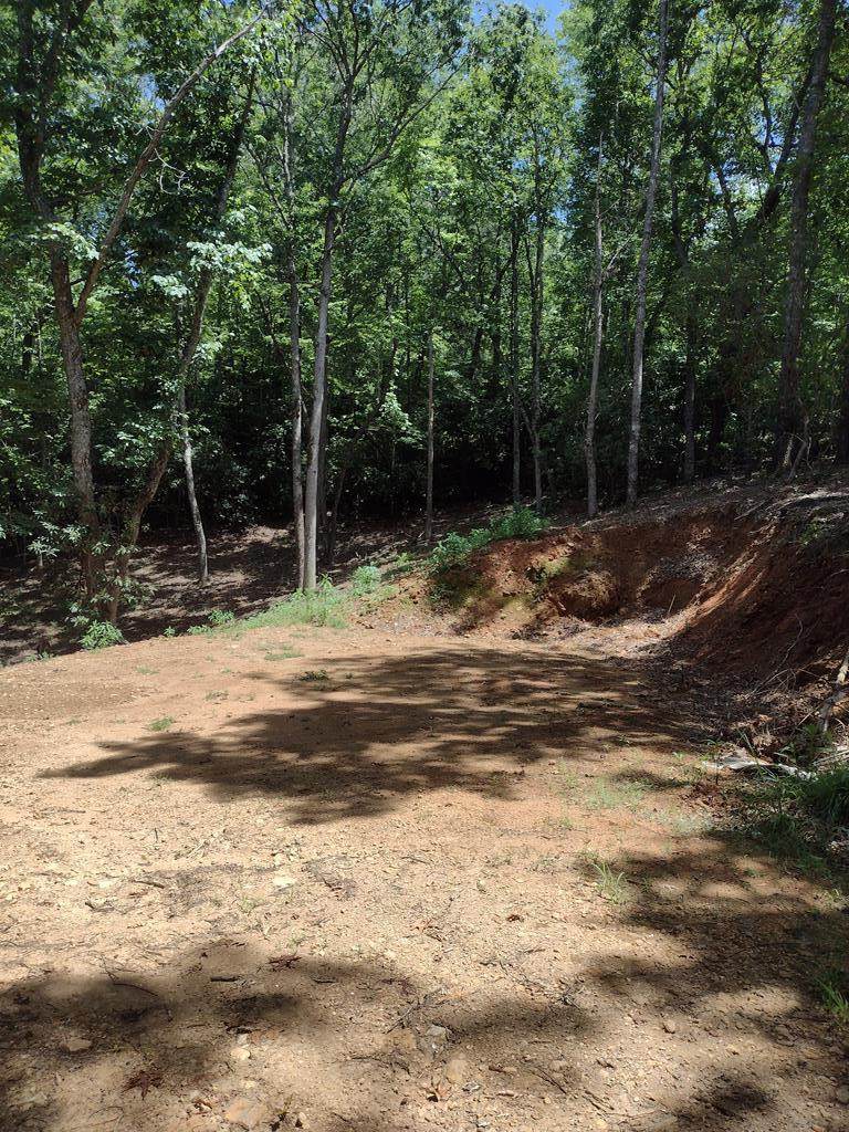 20 Radiant Cove - Photo 1