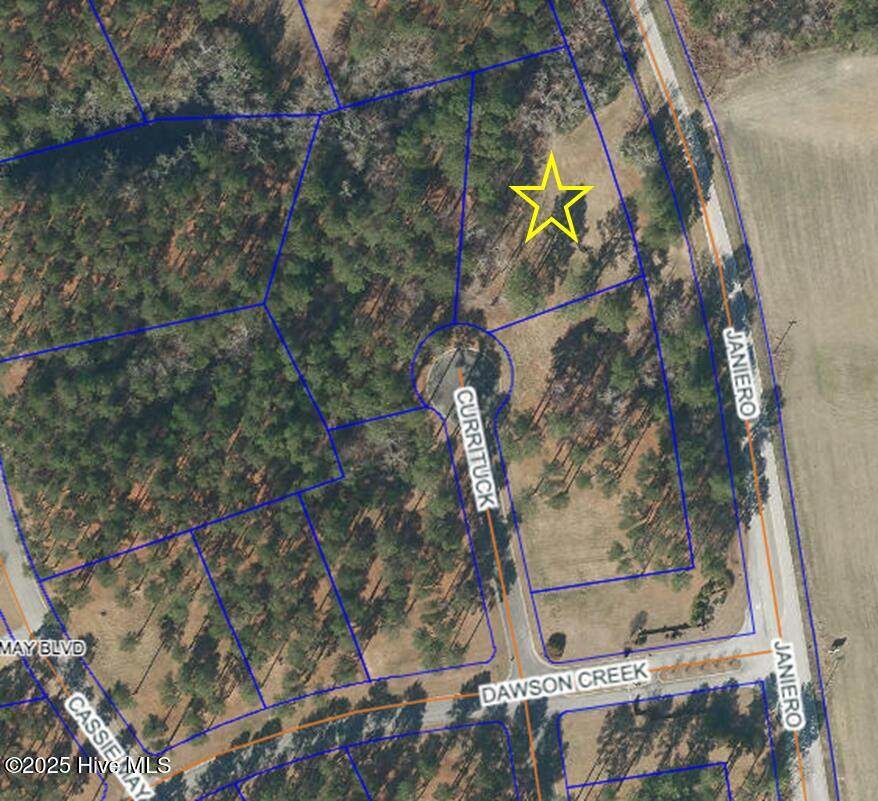 62 Currituck Court - Photo 1