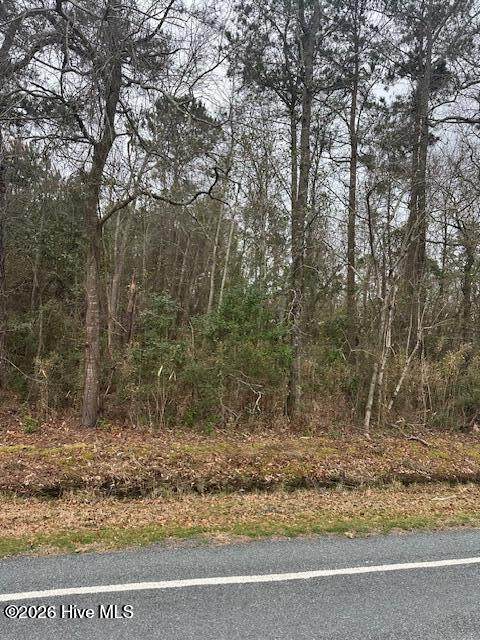 7557 Princess Ann Road - Photo 1