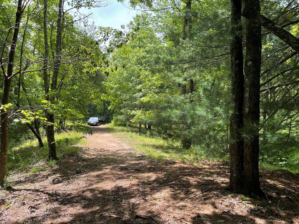 21 Collett Woods Trail - Photo 1