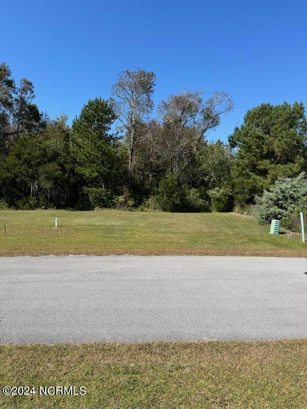 107 Night Heron Trace - Photo 1