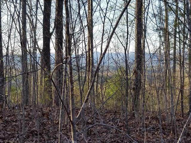 00 Dasali Way - Photo 1