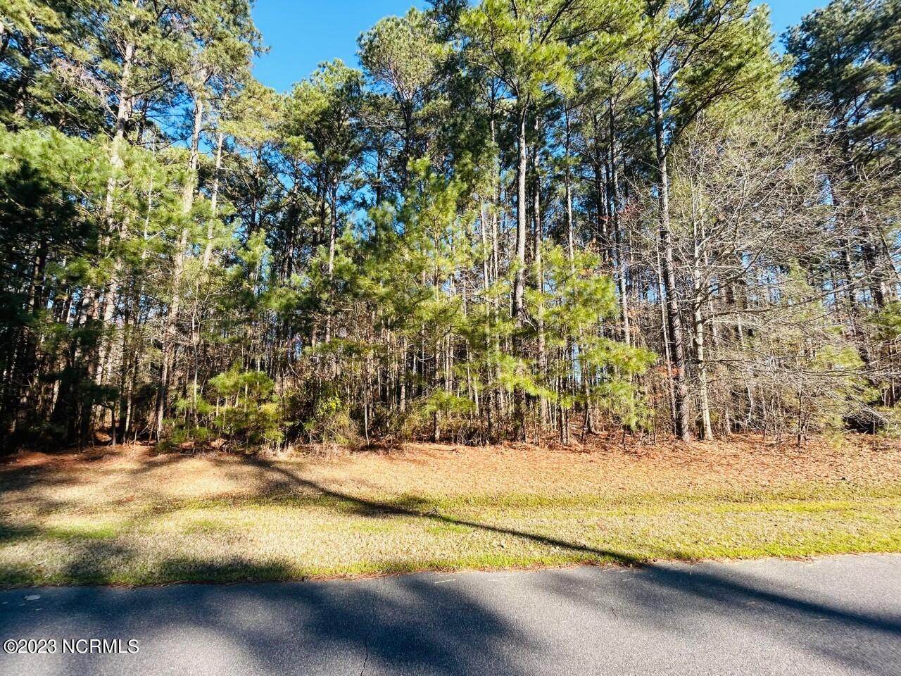 137 Indian Town Creek Drive - Photo 1