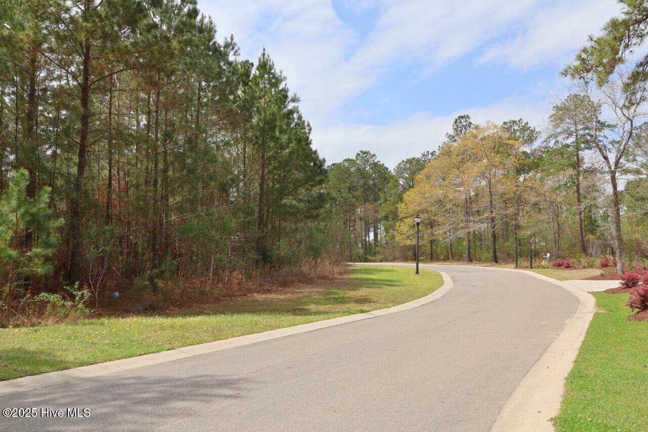 9319 Fallen Pear Lane - Photo 1