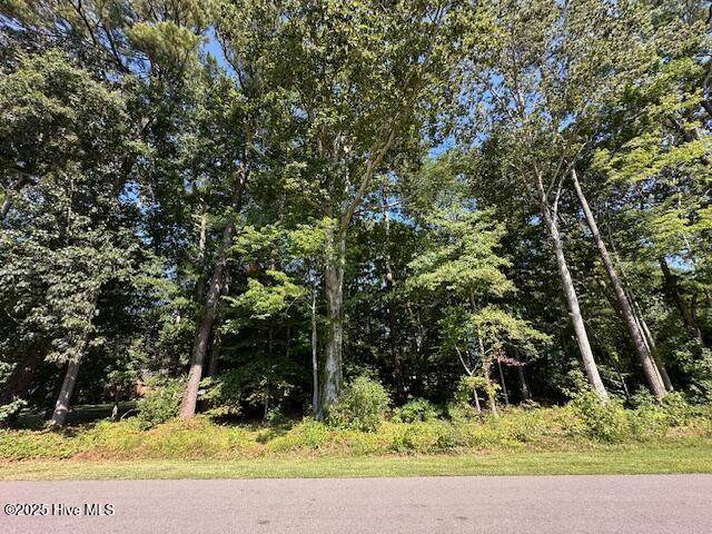 0000 Riddick Road - Photo 1