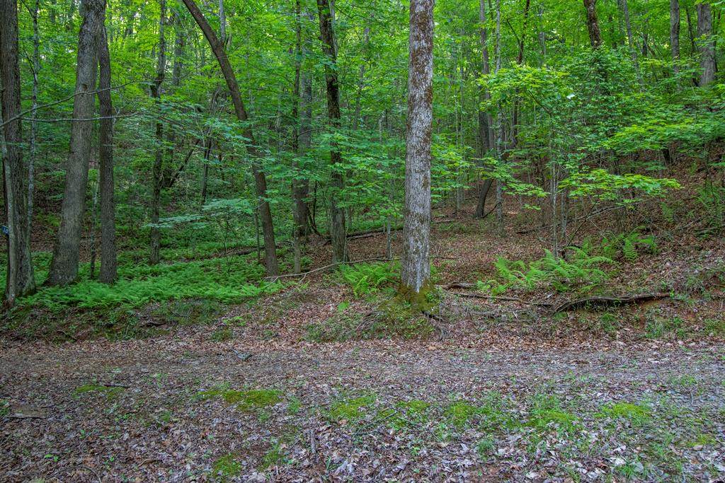 00 Laurel Mountain Road - Photo 1
