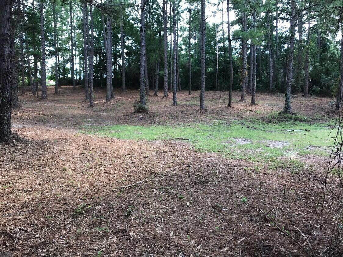 00 University Parkway - Photo 1