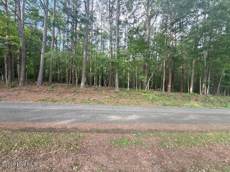 Lot 4 Tennessee 68 - Photo 1