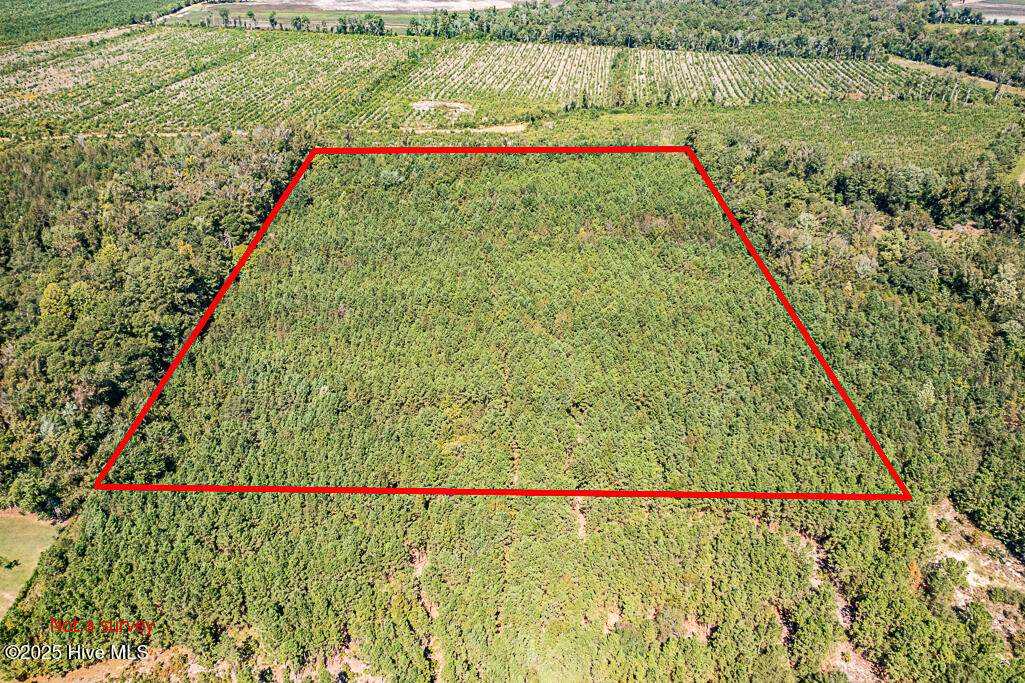 780 Campbell Road - Photo 1