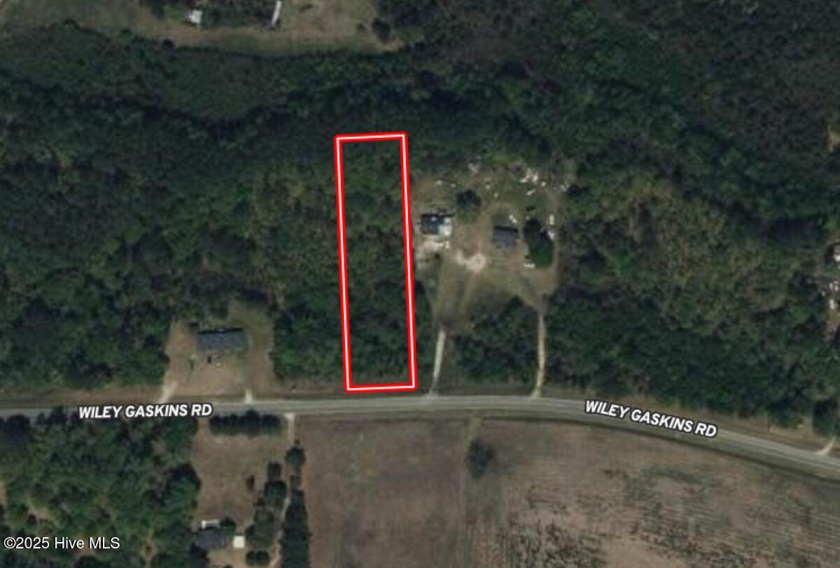 0 Wiley Gaskins Road - Photo 1