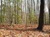 Lot 25 Laurel Mountain Drive - Photo 1