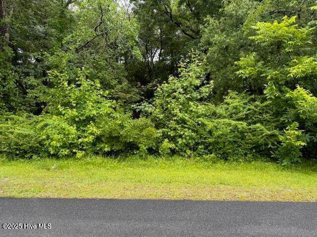 0 Tobes Road - Photo 1