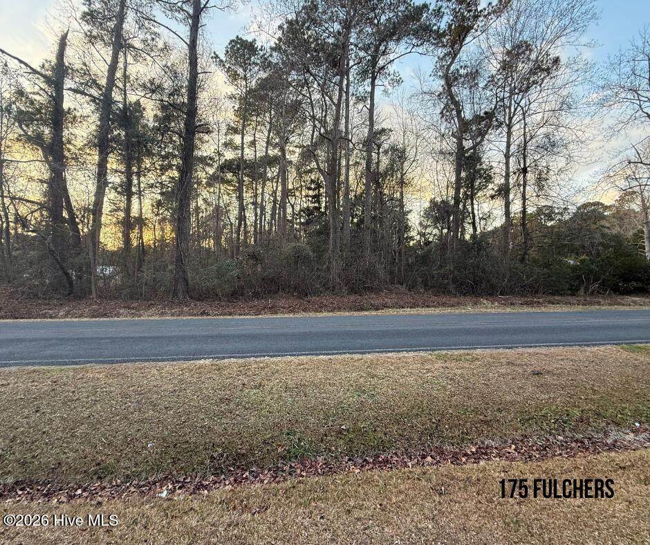 175 Fulcher Landing Road - Photo 1