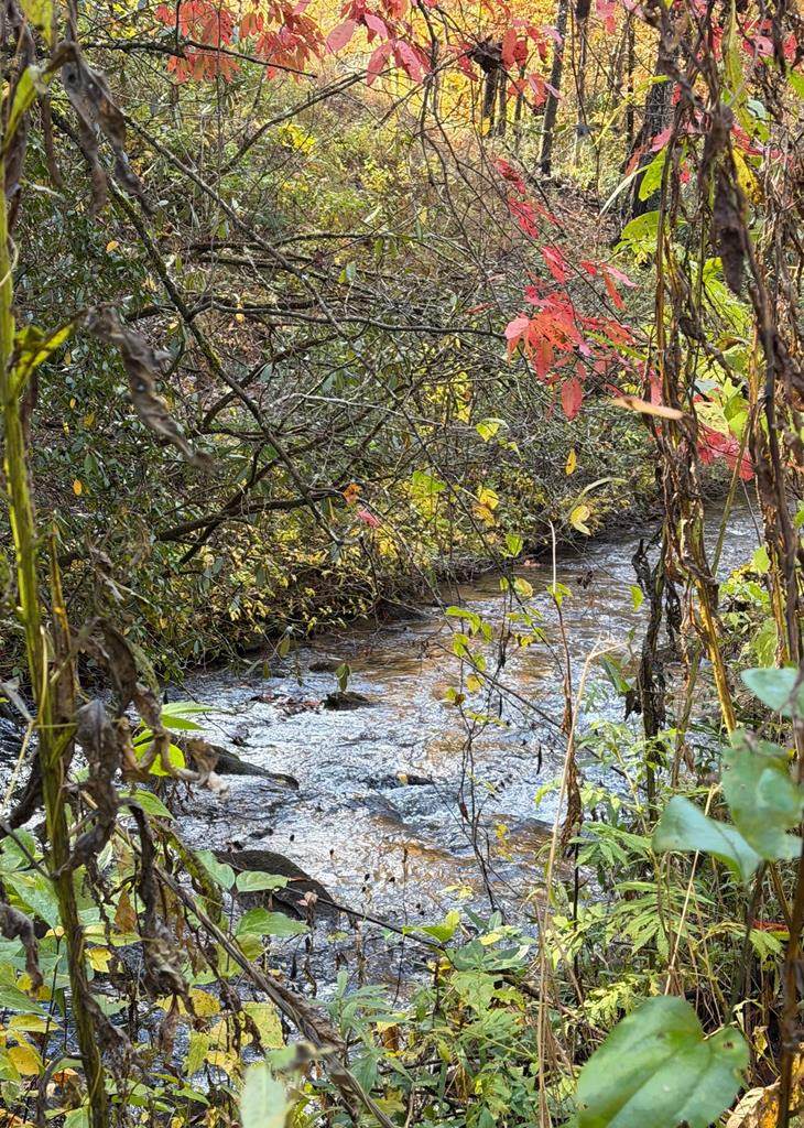 Lot 62 & Creek Lot A, Stone Ridge Falls Subdivision - Photo 1