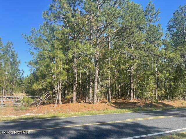 1035 Flowers Road - Photo 1