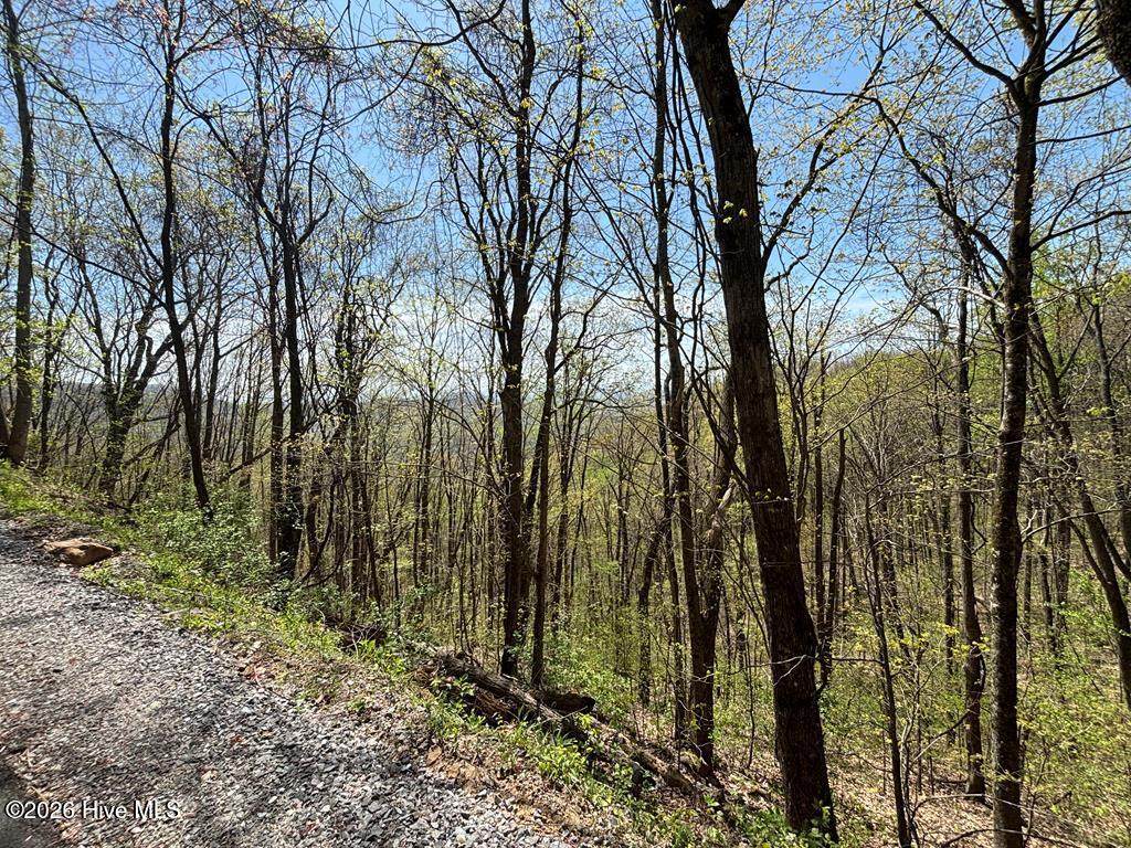 Lot 4 Outlook Road - Photo 1