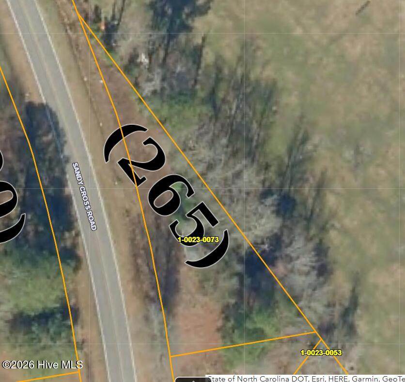 362 Sandy Cross Road - Photo 1