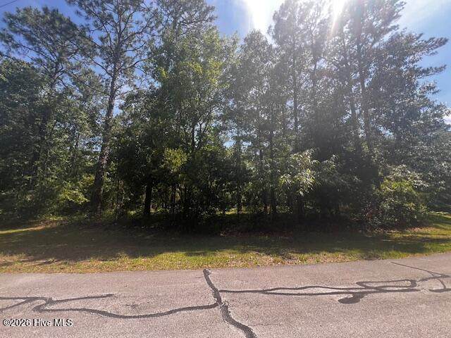 907 Hurricane Court - Photo 1