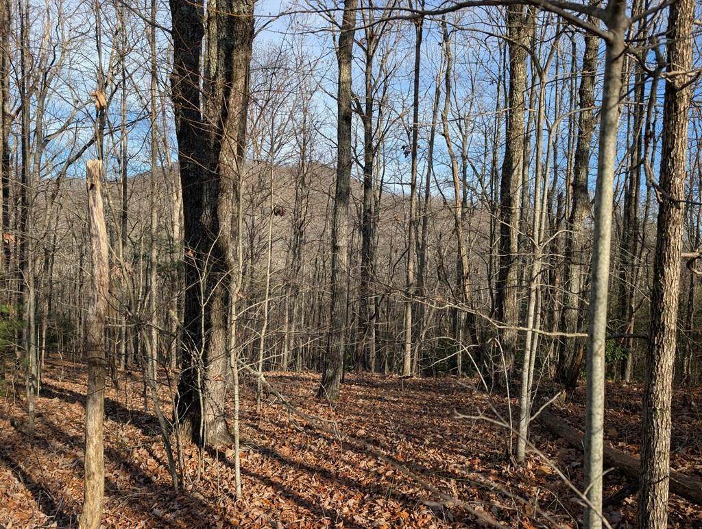 Lot 20 Wilderness Creek Way - Photo 1