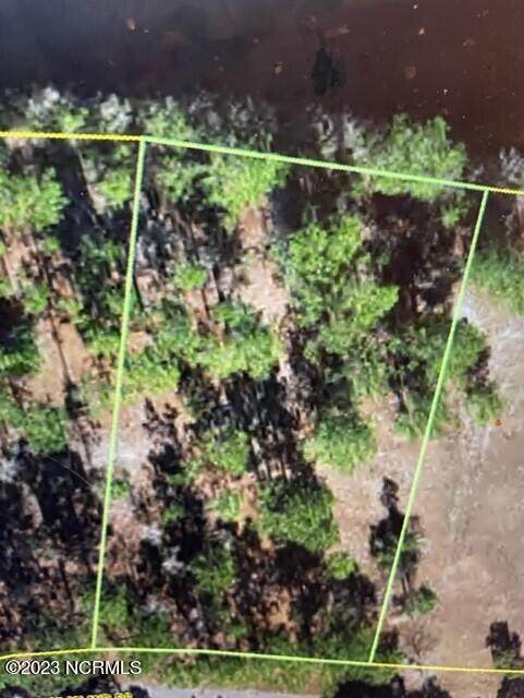 219 Oak Island Drive - Photo 1