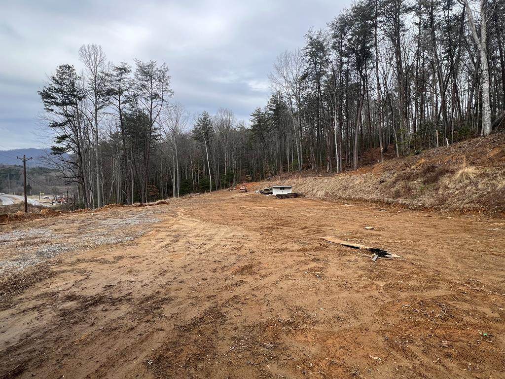 12216 Highway 64 - Photo 1
