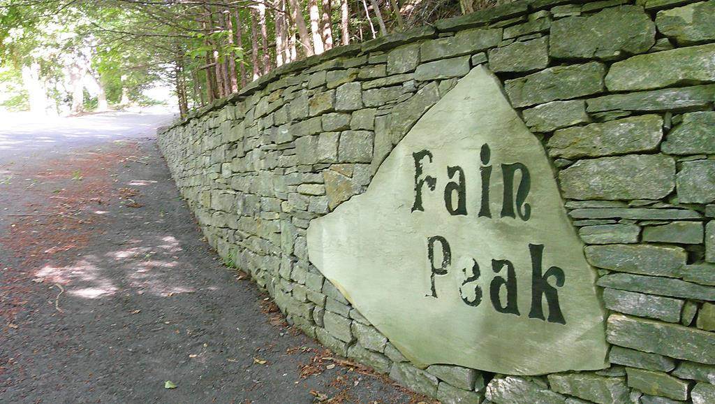 00 Fain Peak - Photo 1