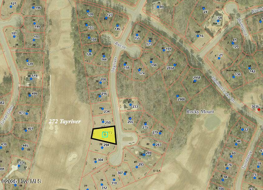 272 Tayriver - Photo 1