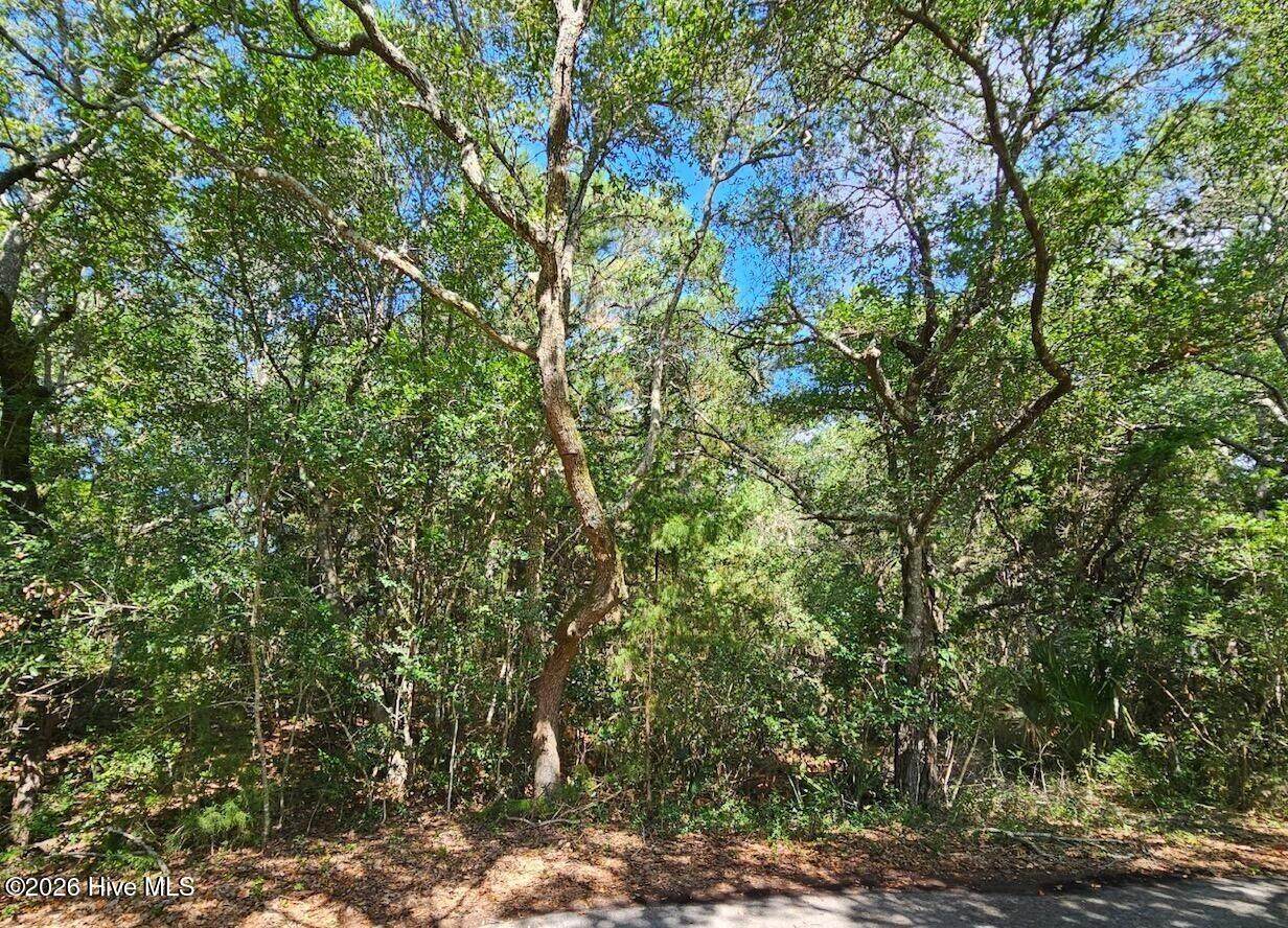 17 Col William Rhett Trail - Photo 1