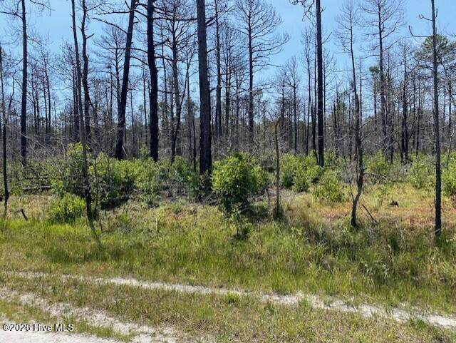 799 Jasmine Road - Photo 1