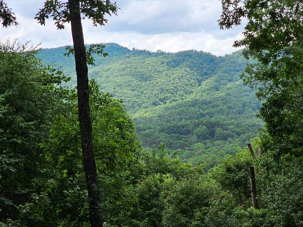 Lot 13-B Mountain Top Drive - Photo 1