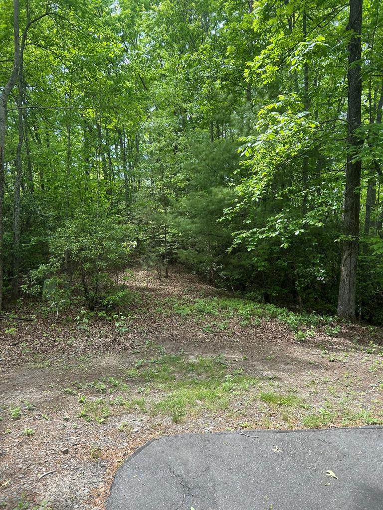 00 Sierra Springs - Photo 1