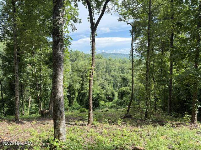 Lot 25 Bryson Creek Drive - Photo 1