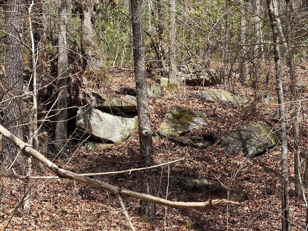 0 Morrow Road - Photo 1