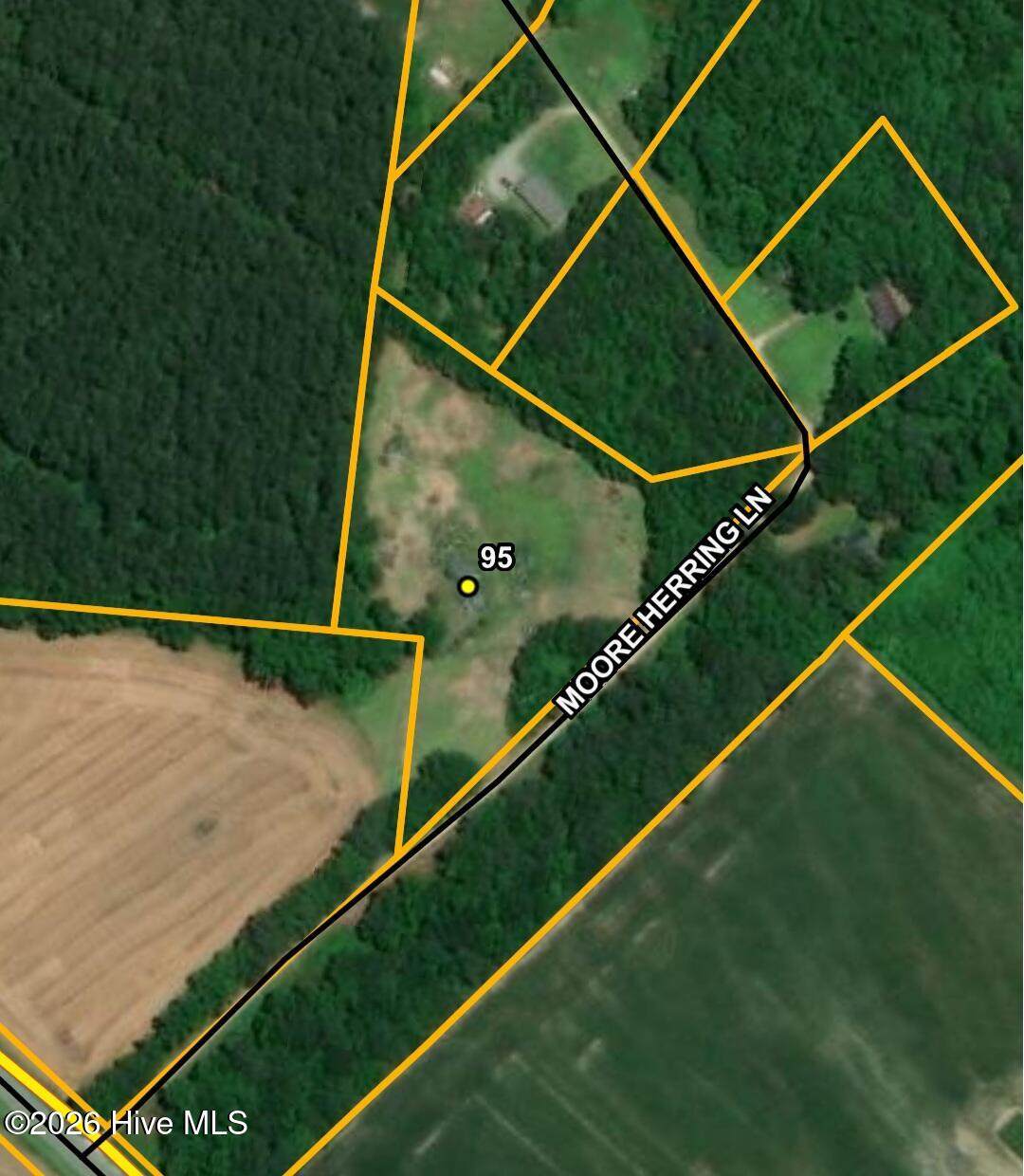 95 Moore Herring Lane - Photo 1