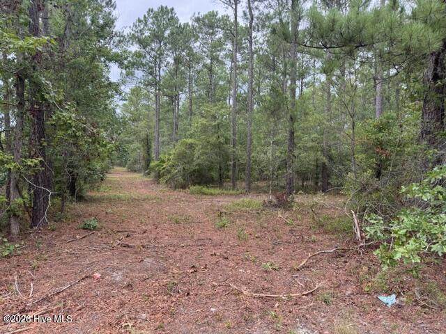 0 Nc Highway 210 Road - Photo 1