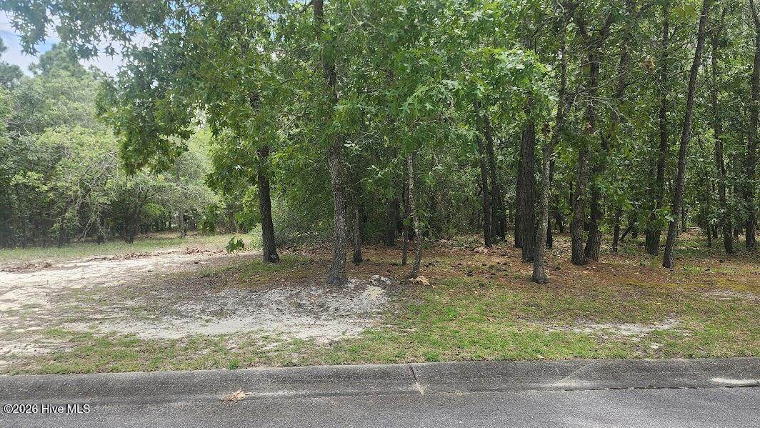 537 Estevao Lane - Photo 1