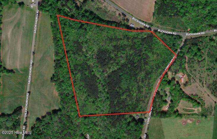 Tbd Copeland Road - Photo 1