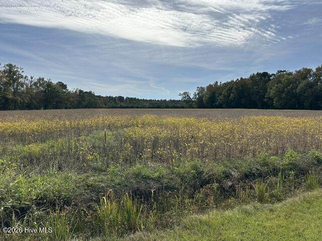 721 Joe Piver Road - Photo 1