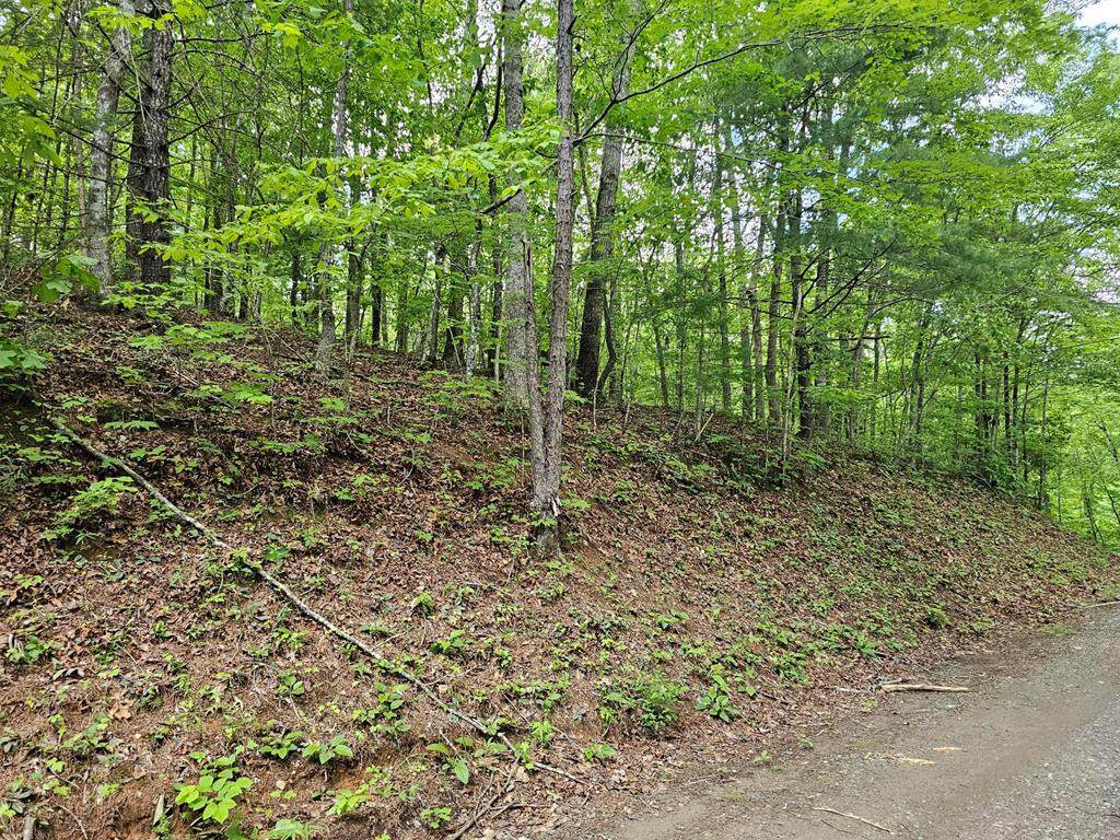 7 Whispering Pines - Photo 1