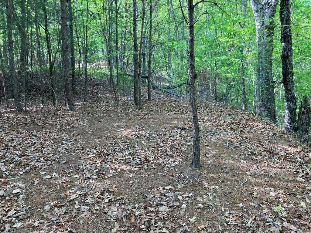 Lt24 Mission Ridge Court - Photo 1