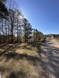 00 Sugar Maple Road - Photo 1