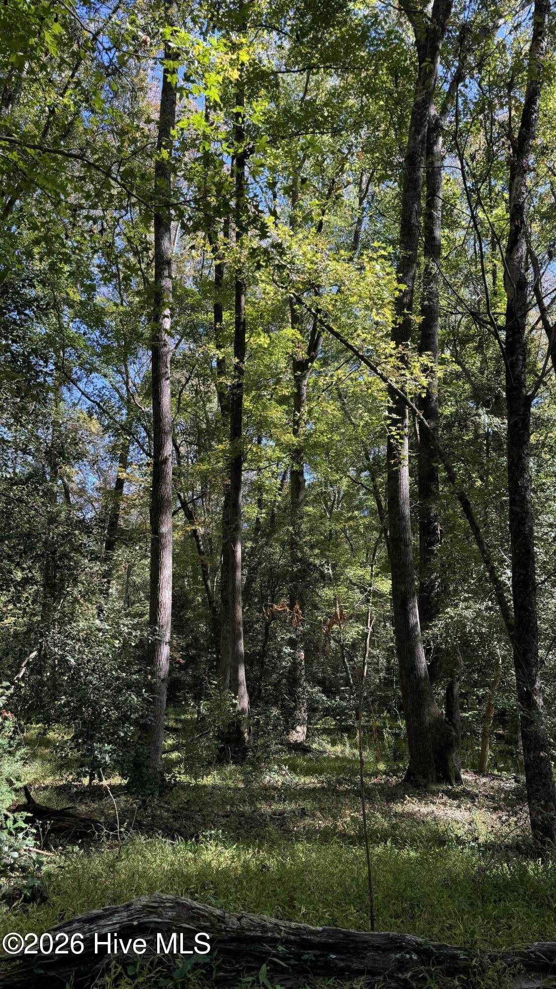 https://bt-photos.global.ssl.fastly.net/ncreg/orig_boomver_1_c193c023c46908debb68253ad2a62fd8-2.jpg