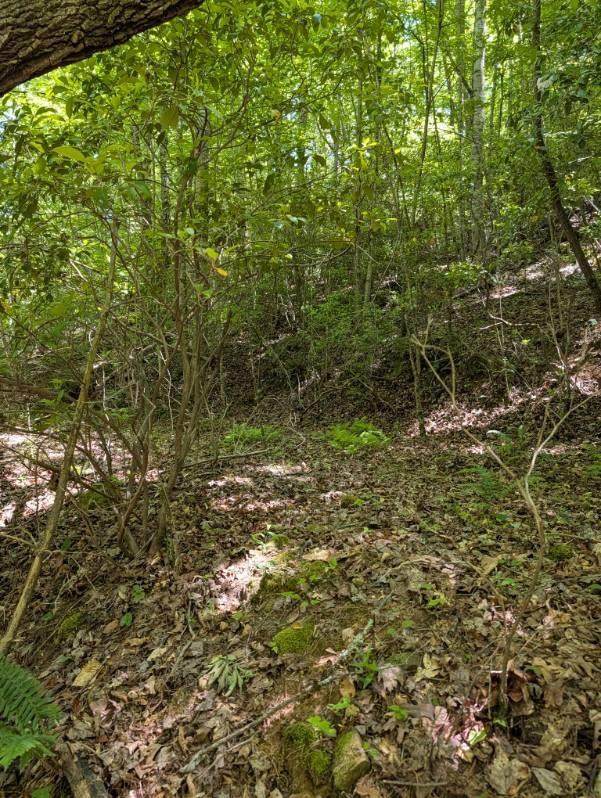 00 Talc Mine Road - Photo 1